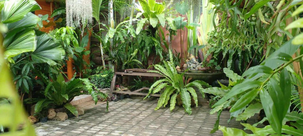 Ouychai Resort Home Stay Chiang Mai Dış mekan fotoğraf