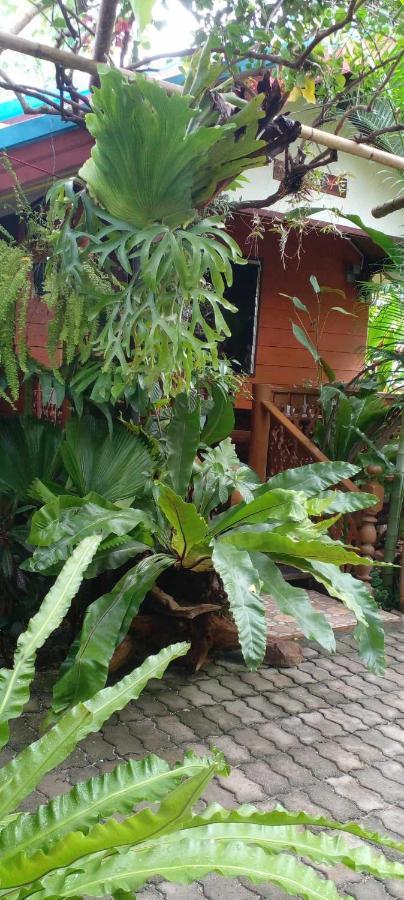 Ouychai Resort Home Stay Chiang Mai Dış mekan fotoğraf